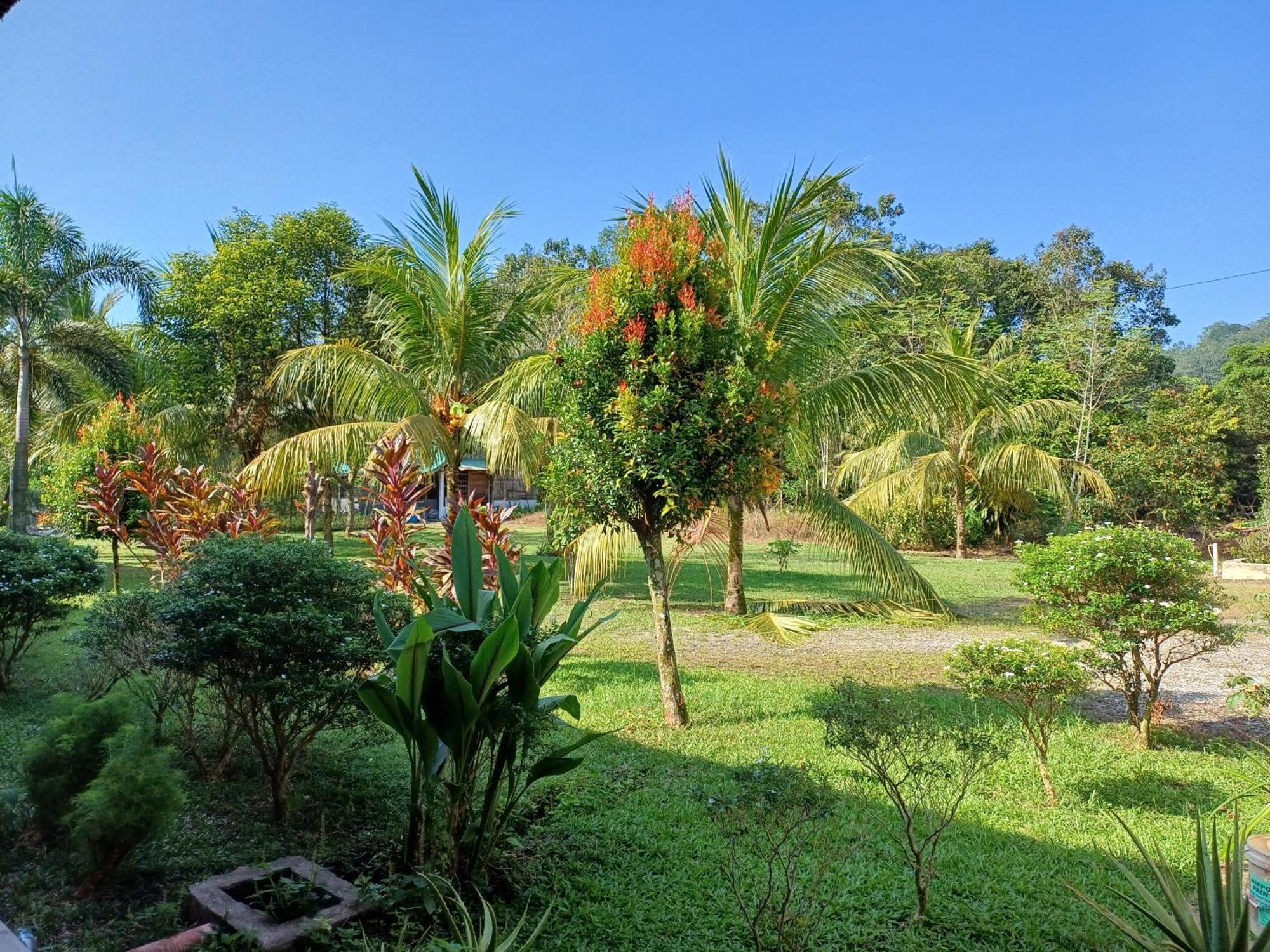 Lemuni Retreat & Training Centre - Kerling, Selangor Hotel Buitenkant foto